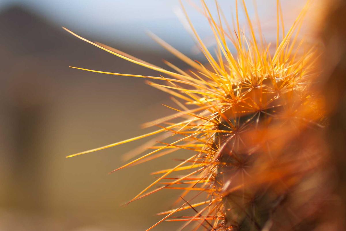 Mellom hastverk og åpenhet: En analyse av vaksinedata og folkehelseforvaltningen 2020–2024