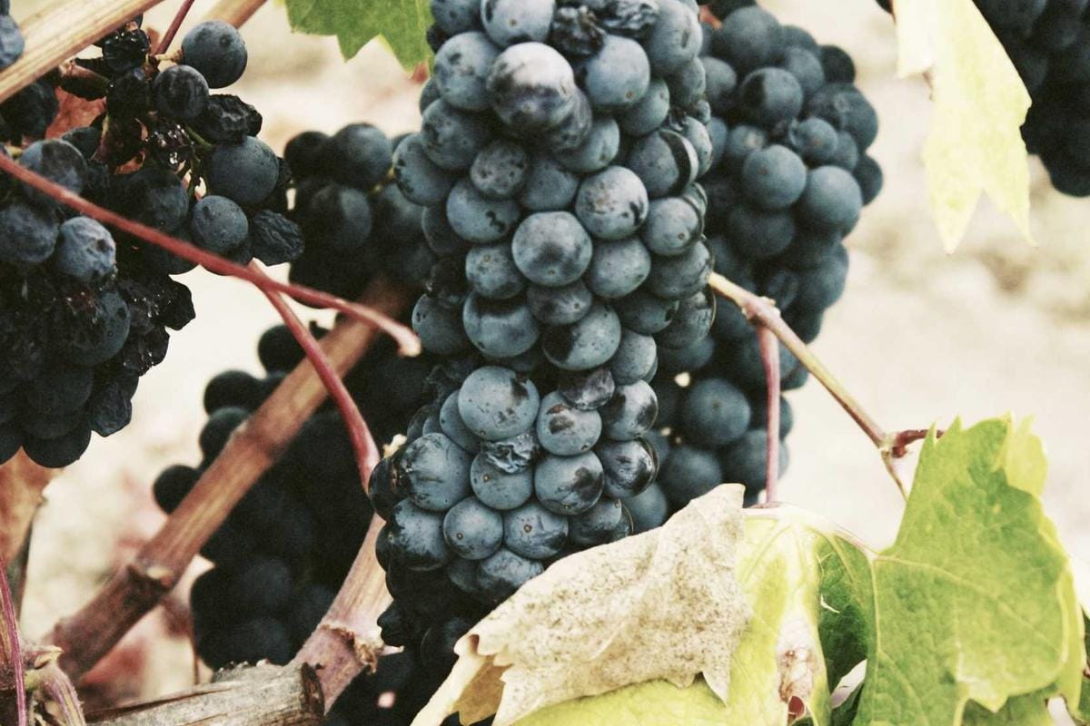 Det rustne fundamentet: Når den norske effektivitetsmyten kollapser