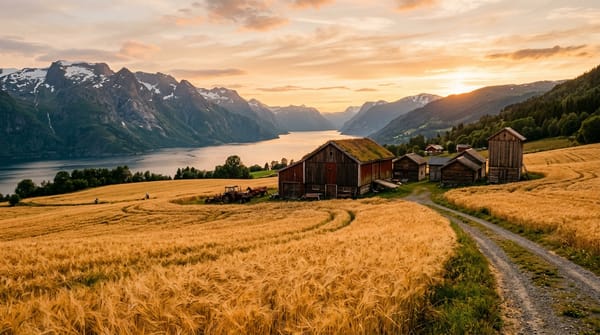 Kornberedskap og norsk matsuverenitet: Fra beredskapslagring til reell matsikkerhet